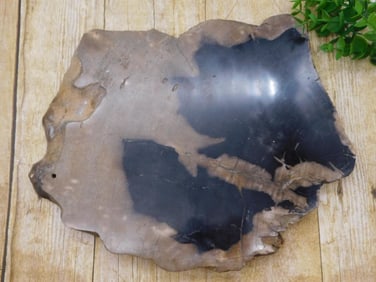 PETRIFIED WOOD SLAB ROCK STONE LAPIDARY SPECIMEN