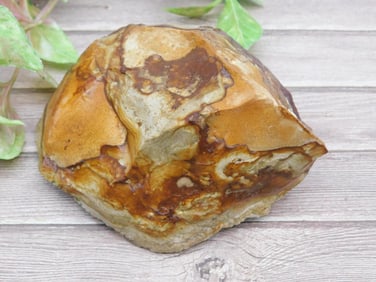 JASPER ROCK STONE LAPIDARY SPECIMEN