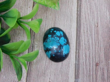 HIGH GRADE TURQUOISE CABOCHON ROCK STONE LAPIDARY SPECIMEN