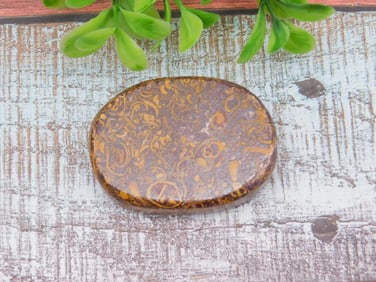 CALLIGRAPHY STONE PALM STONE ROCK STONE LAPIDARY SPECIMEN