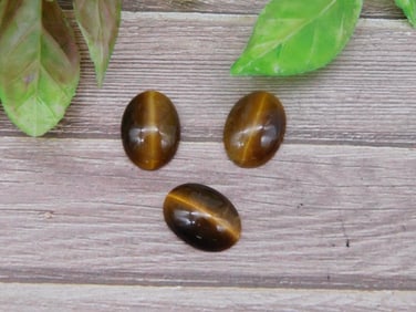 TIGER EYE CABOCHONS ROCK STONE LAPIDARY SPECIMEN