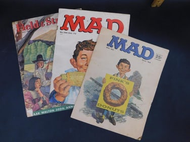 Assorted Lot of Mad Magazines, Field & Stream, and Transformers