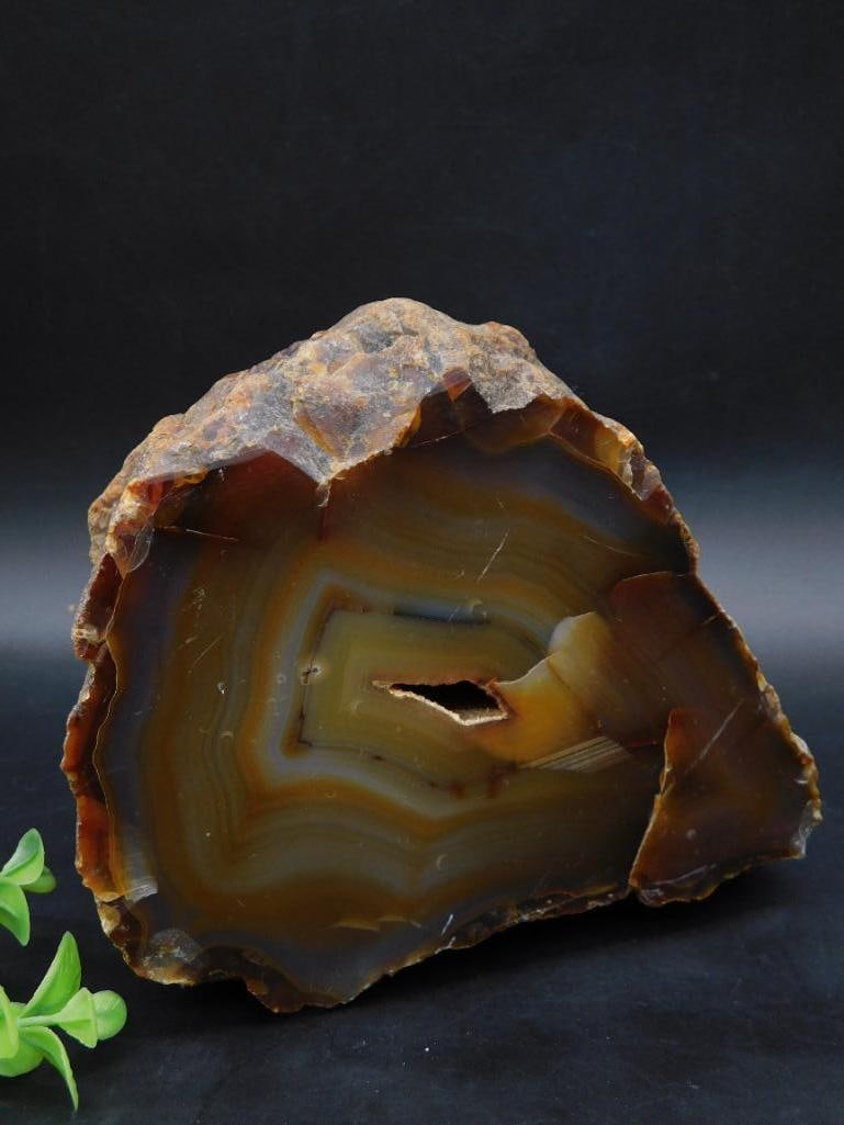 Polished Agate Geode with Natural Banding Rock Stone Lapidary Specimen: This polished agate geode features naturally occurring banding in varying shades of brown, orange, and yellow. The geode has a rugged outer rock surface with a polished interior, showcasing a small na