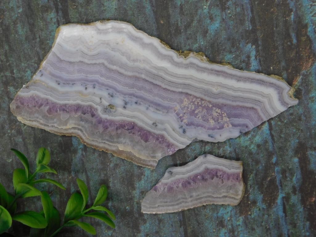 Royal Aztec Lace Slab, Two Pieces Rock Stone Lapidary Specimen: Set of two banded agate slices featuring natural purple and white hues with subtle beige accents. Both pieces have smooth, polished surfaces and showcase layered banding. The larger slice measures app