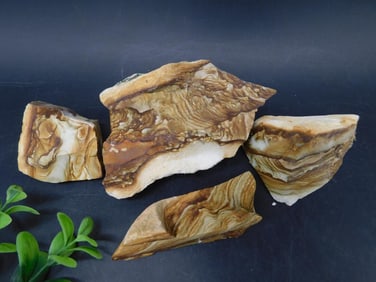 JASPER ROCK STONE LAPIDARY SPECIMEN