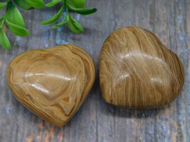 STONE HEARTS ROCK STONE LAPIDARY SPECIMEN
