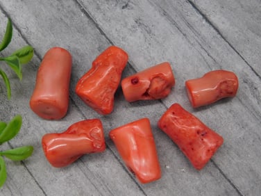 RED CORAL ROCK STONE LAPIDARY SPECIMEN