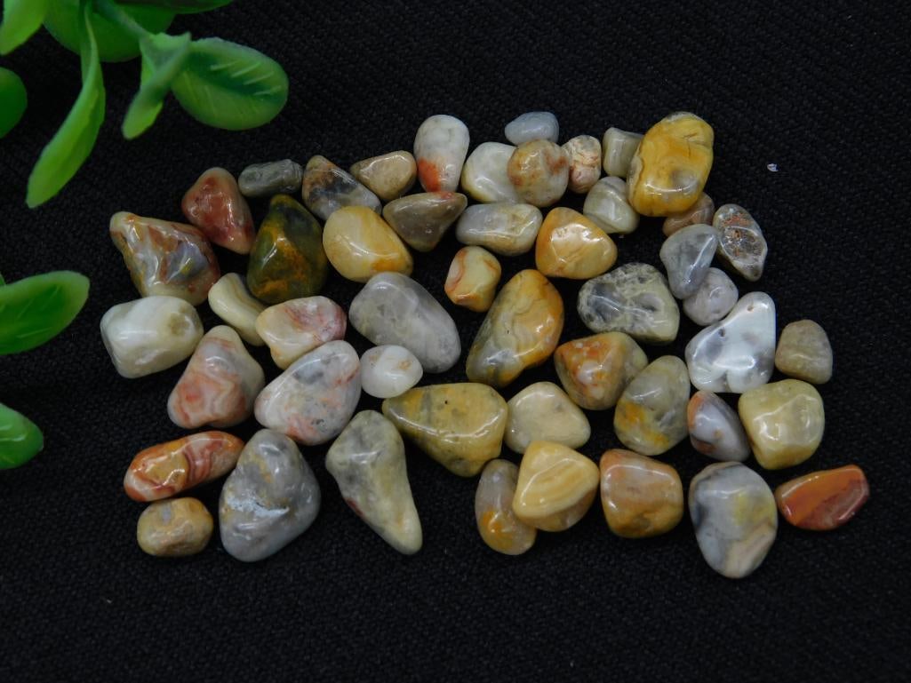 CRAZY LACE ROCK STONE LAPIDARY SPECIMEN: CRAZY LACE ROCK STONE LAPIDARY SPECIMEN