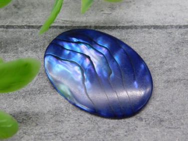 ABALONE CABOCHON ROCK STONE LAPIDARY SPECIMEN