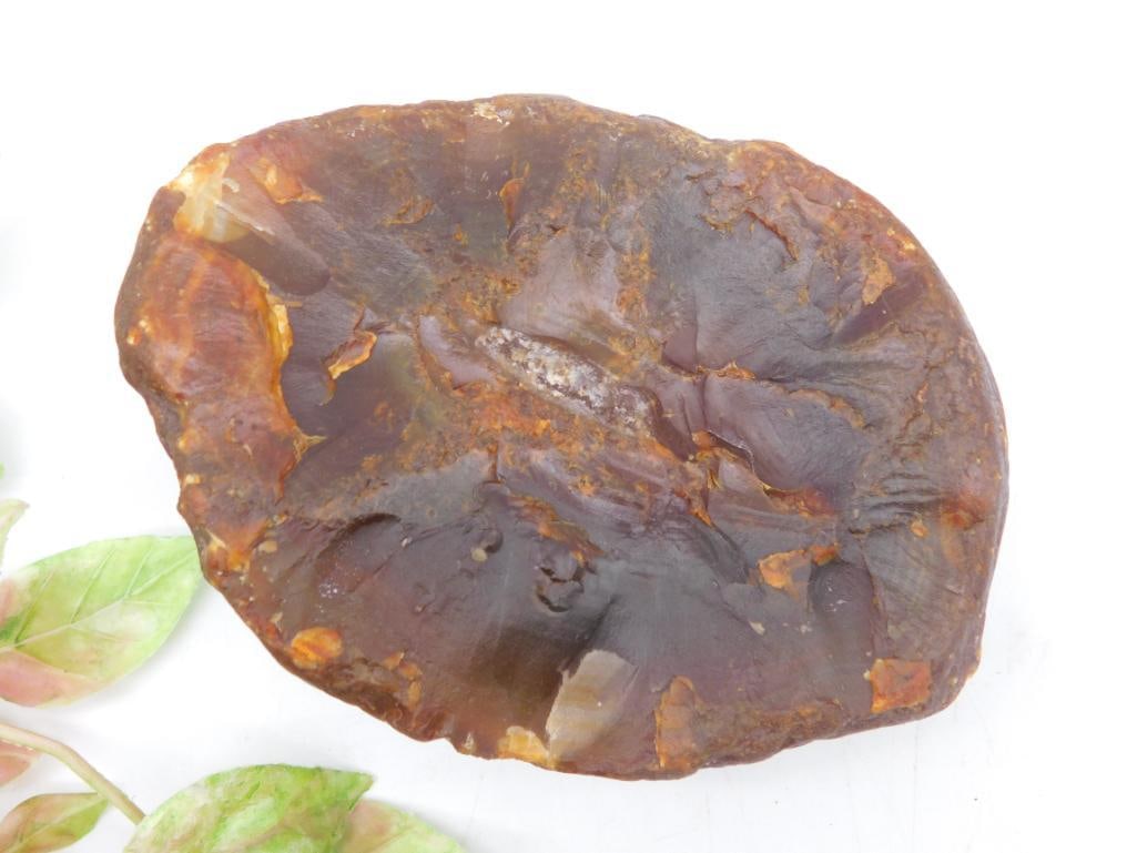 BRAZILIAN AGATE ROCK STONE LAPIDARY SPECIMEN: This raw stone exhibits features similar to amber with a polished appearance. It showcases natural textural patterns and earthy tones throughout. The approximate weight and size details are clearly ma