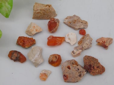 ROUGH OPALS ROCK STONE LAPIDARY SPECIMEN