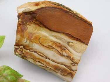 JASPER ROCK STONE LAPIDARY SPECIMEN
