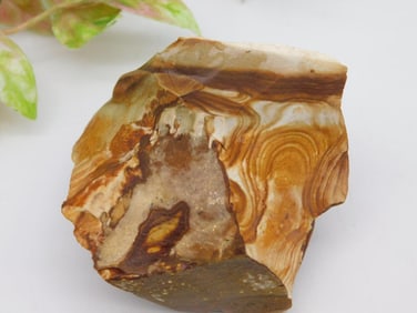 JASPER ROCK STONE LAPIDARY SPECIMEN
