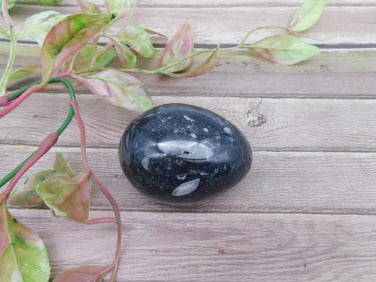 Polished Black Stone Egg - 134 Grams