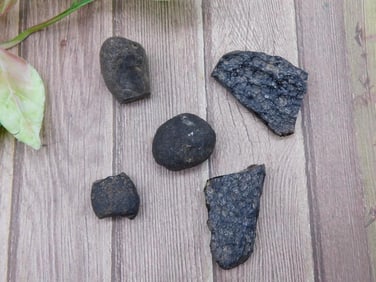 Set of 5 Unpolished Raw Black Stones or Fragments