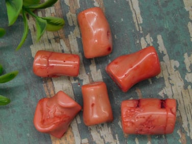 Six Red Coral Gemstone Pieces