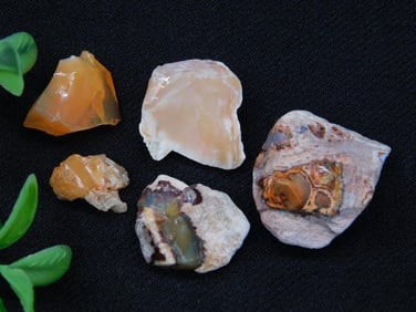 RAW OPALS ROCK STONE LAPIDARY SPECIMEN