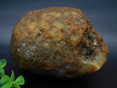 BRAZILIAN AGATE Specimen Weighing 2.025 Lbs