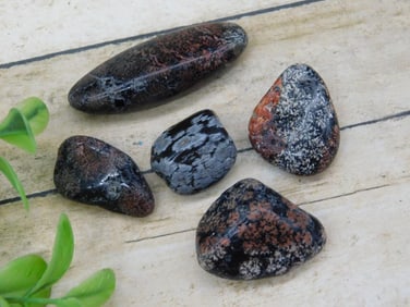Lot of 5 Polished Natural Rock and Mineral Specimens