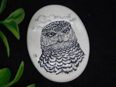 SCRIMSHAW CABOCHON With Owl Design