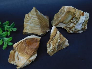 JASPER ROCK STONE LAPIDARY SPECIMEN