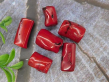 Lot of Red Coral Beads With Natural Variations