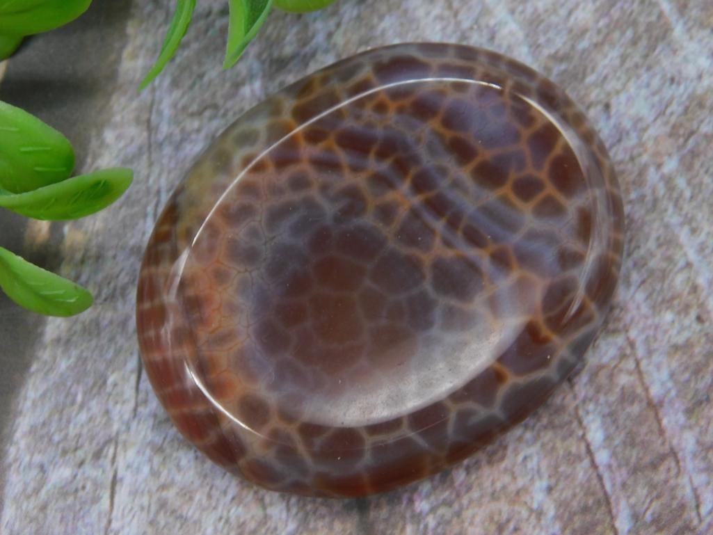 Fire Agate Worry Stone Rock Stone Lapidary Specimen: Polished agate stone featuring a unique natural pattern in brown and lighter tones. Compact size as shown next to a quarter for scale. Smooth finish, ideal for display or collection. Includes auction