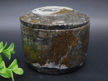 Polished Fossil Stone Container With Ammonite Lid