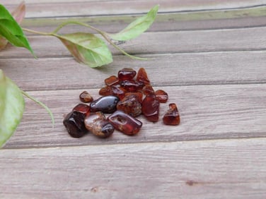 Polished Red Gemstones Lot Weighing 12 Grams