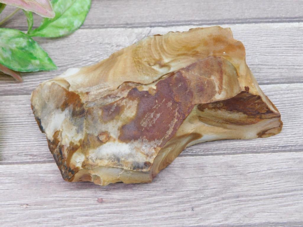 JASPER ROCK STONE LAPIDARY SPECIMEN: Polished rock specimen showcasing vibrant earth-tone patterns of browns, tans, and whites. A solid mineral piece with detailed natural striations and layers. Dimensions and weight are marked in the au