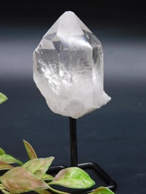 Clear Quartz Crystal Point Specimen on Metal Display Stand