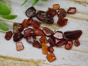 Lot of Polished Gemstones Rock Stone Lapidary Specimen