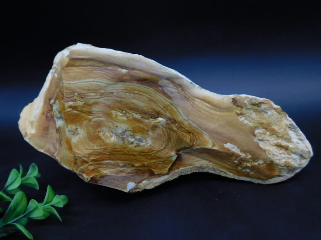 Jasper Rock Stone Lapidary Specimen: Aspecimen showcasing intricate natural patterns and a blend of earthy hues. The edges exhibit a mix of rugged and smooth textures, while the surface is polished to highlight the unique details. A rule