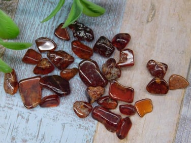 Polished Orange Garnet Collection Assorted Sizes