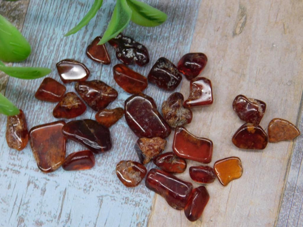 Polished Orange Garnet Collection Assorted Sizes: Collection of polished amber gemstones in various sizes and shapes. Includes 22 pieces in warm reddish to golden tones. Suitable for crafting or display. Coin shown for scale.