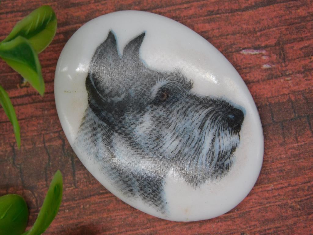 Oval Ceramic Plaque With Schnauzer Dog Illustration: Oval ceramic plaque featuring a detailed illustration of a Schnauzer dog in profile. Compact and lightweight, as shown next to a quarter for scale. Ideal as a decorative item or craft embellishment.