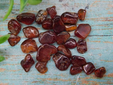 Lot of Polished Red Gemstones Rock Stone Lapidary Specimen