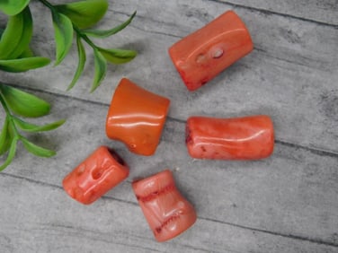 Lot of Five Red Coral Bead Fragments