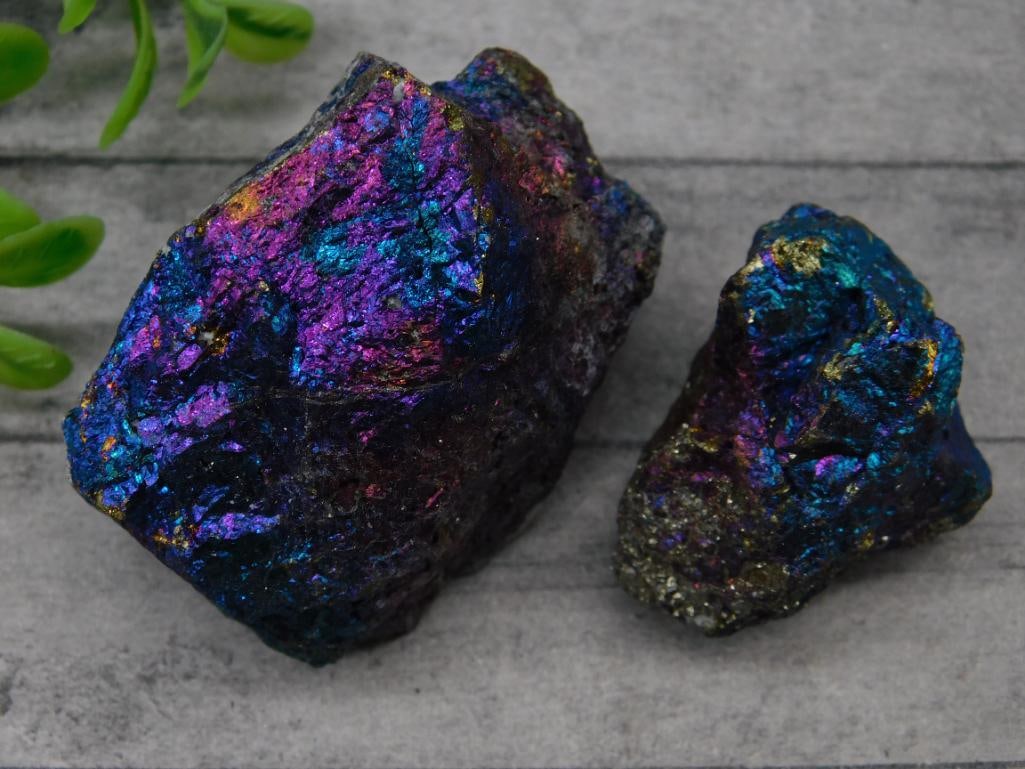 Iridescent Chalcopyrite Mineral Specimens: Two pieces of chalcopyrite mineral with vibrant iridescent coloration. Combined weight of 184 grams, as noted on the auction tag. Includes a U.S. quarter for size reference (coin not included). Ideal 