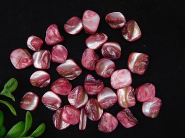 Collection of Polished Pink Shell Beads in Assorted Shapes