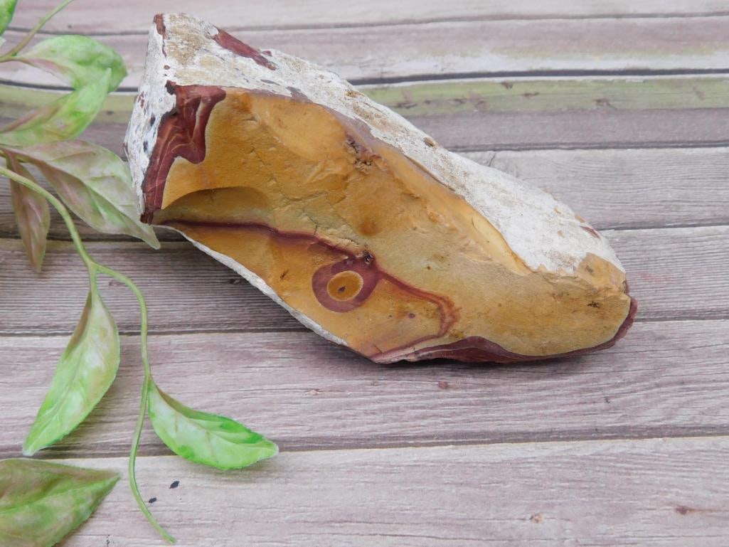 Jasper Rock Stone Lapidary Specimen: This lot features a unique stone specimen with polished sections displaying intricate natural patterns in reddish-brown and yellow tones. The remaining surface has a rough, unfinished texture. A ruler