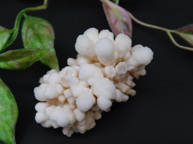 White Botryoidal Mineral Specimen with Delicate Formations