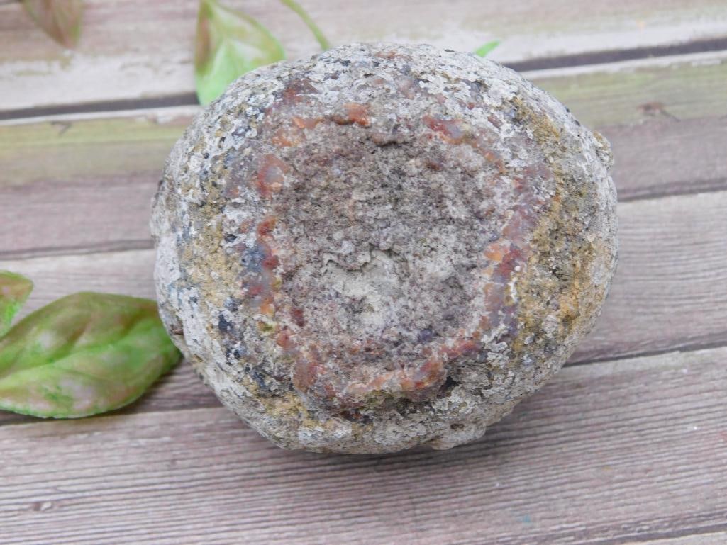 Agate Specimen Weighing 286 Grams Rock Stone Lapidary Specimen: This specimen weighs 286 grams, as shown on the scale. The texture and patterns visible suggest natural fossilization. Dimensions include a rough measuring of approximately 3 inches, aligned with the