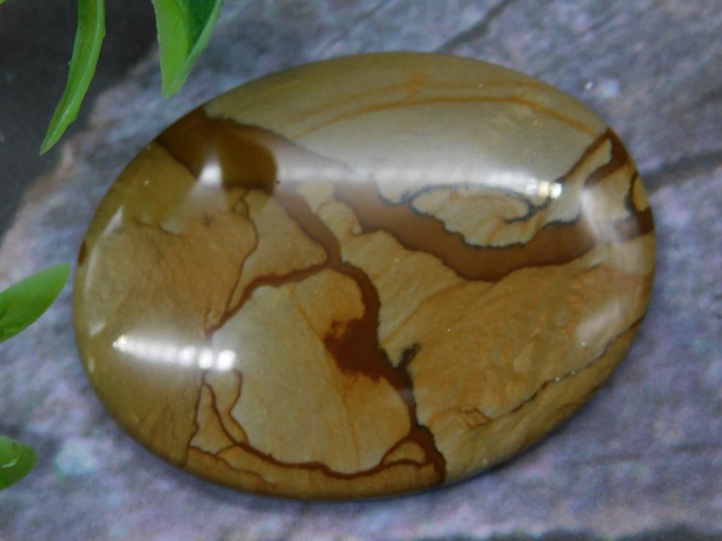 Polished Jasper Gemstone Cabochon: Polished jasper cabochon displaying a unique pattern of brown and tan tones. The gemstone features smooth surfaces and rounded edges, ideal for display, crafting, or jewelry. Includes a reference quar
