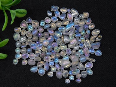 20-Gram Lot of Moonstone Cabochons in Assorted Shapes