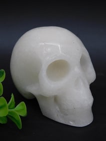 Polished White Stone Skull Figurine, 316 Grams Rock Stone Lapidary Specimen