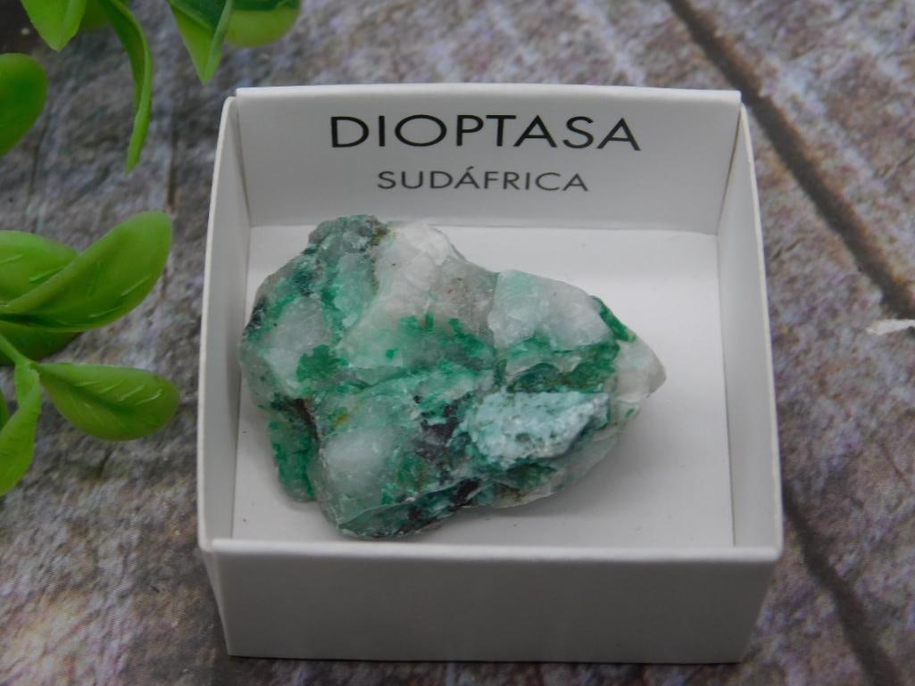 Dioptase Mineral Specimen from South Africa in Display Box Rock Stone Lapidary Specimen: A dioptase mineral specimen from South Africa, presented in a labeled display box. The mineral displays vibrant green hues interspersed with white crystalline formations. The total weight is noted as 