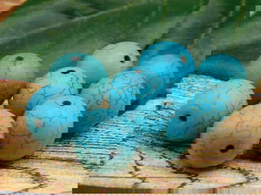 TURQUENITE BEADS ROCK STONE LAPIDARY SPECIMEN