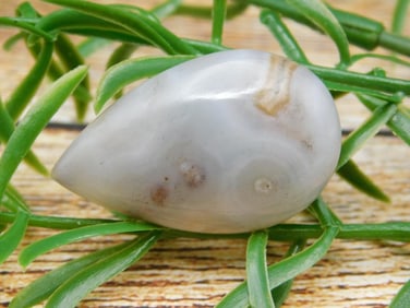 RHYOLITE CABOCHON ROCK STONE LAPIDARY SPECIMEN