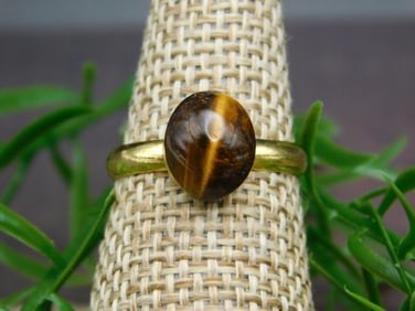 TIGERS EYE RING ROCK STONE LAPIDARY SPECIMEN
